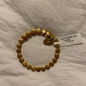 Alex and Ani bracelet NWT